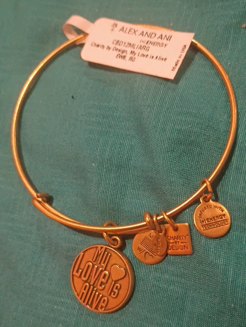 NWT Alex and Ani Gold My Love Is Alive Charm Bangle